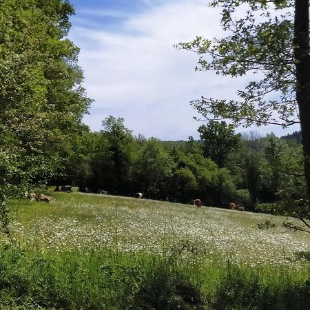 Carazen , Caravane Chauffee Saint-Sylvain-Bellegarde Exteriör bild