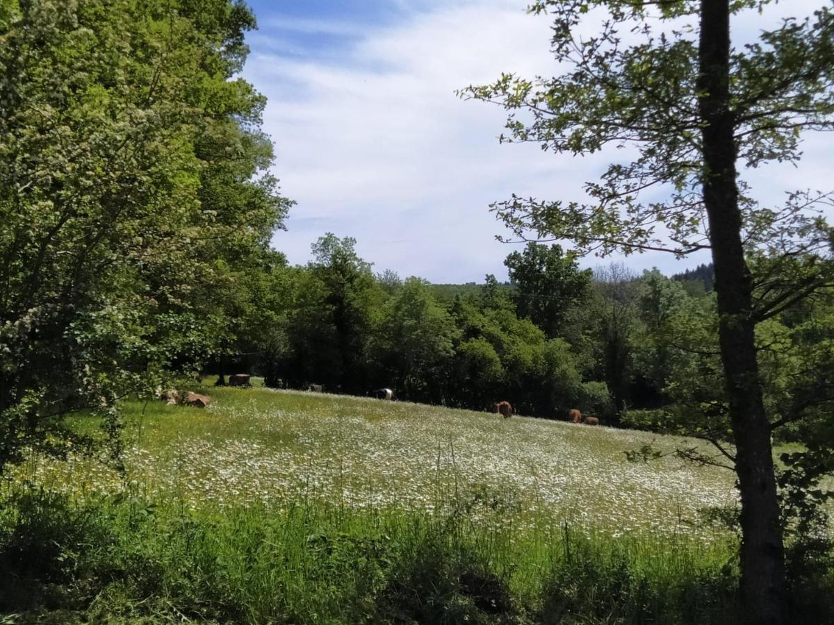 Carazen , Caravane Chauffee Saint-Sylvain-Bellegarde Exteriör bild